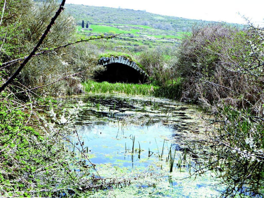 Hotel Rural Teodosio De Goni Aizpún Kültér fotó