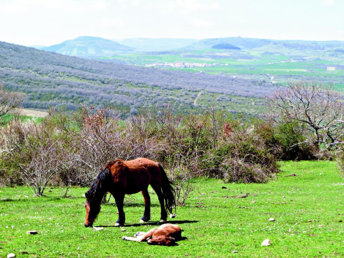 Hotel Rural Teodosio De Goni Aizpún Kültér fotó